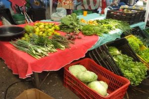 Feira com produtos veganos, orgânicos e sustentáveis acontece toda terça-feira na UFSCar