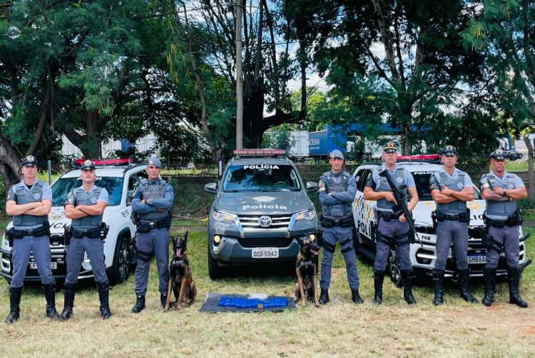 Homem é preso por transportar quase 8 kg de maconha em ônibus de viagem