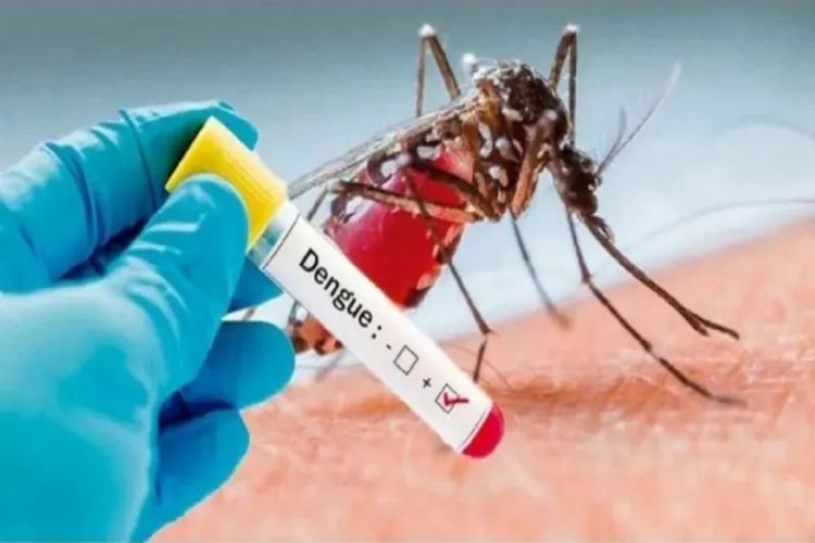 São Carlos se aproxima dos 30 mil casos positivos de dengue