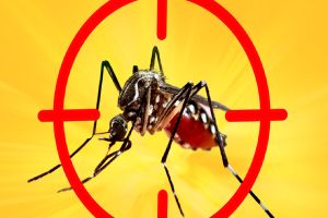 15.166 casos positivos de dengue são registrados em São Carlos