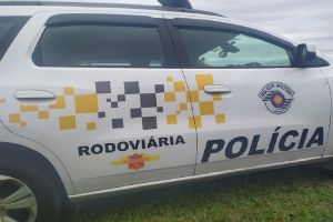 Homem é encontrado sem vida com suspeita de atropelamento na estrada do Broa