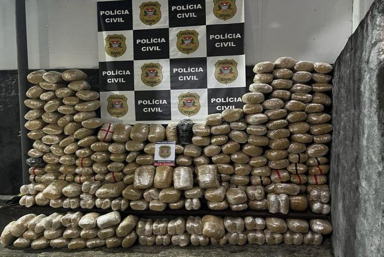 Polícia prende motorista de caminhão transportando 287 tijolos de maconha em Castilho