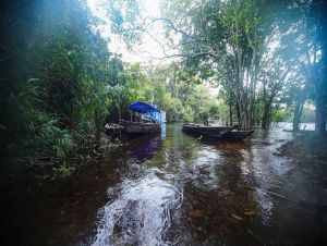 Fundo Amazônia e fim de desmate podem render R$ 95 bi em dez anos