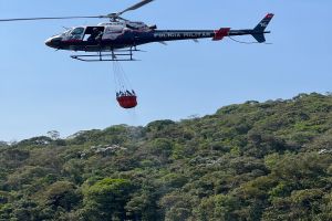 Combate a incêndios é ampliado em SP; helicópteros da PM chegam a 50 cidades