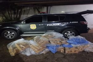 Polícia Civil apreende mais de 300 tijolos de maconha em Marília