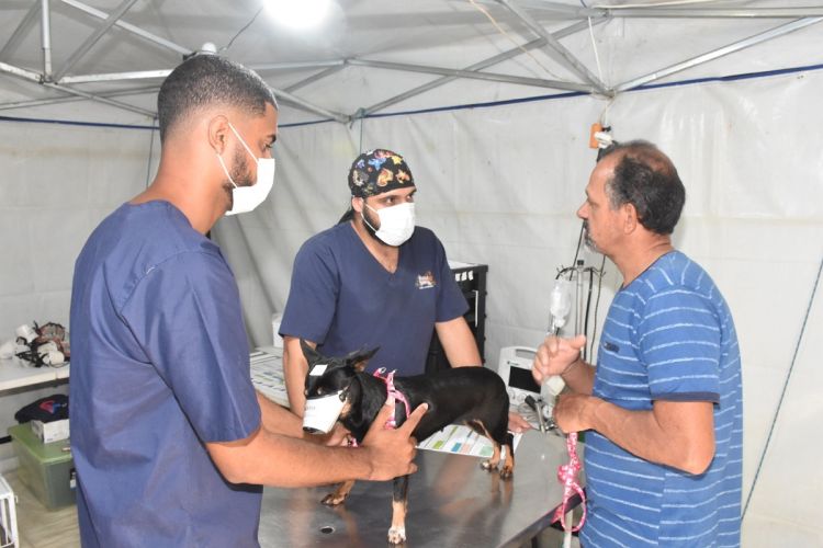 Prefeitura retoma e amplia atendimento médico veterinário gratuito e contará com atendimento 24h