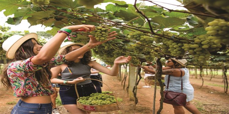 Aproveite o final das férias de verão em São Roque