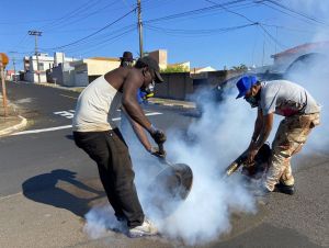 Prefeitura de Ibaté realiza dedetização para eliminação de pragas