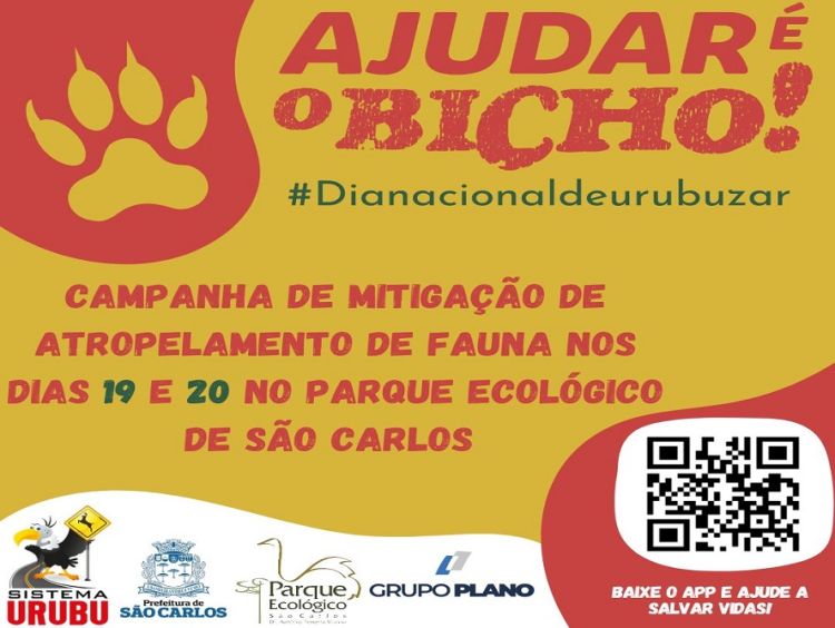 Dia nacional de urubuzar unindo forças para redução do atropelamento de animais