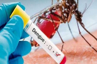 SÃO CARLOS: 13.958 casos positivos de dengue são registrados em 2024