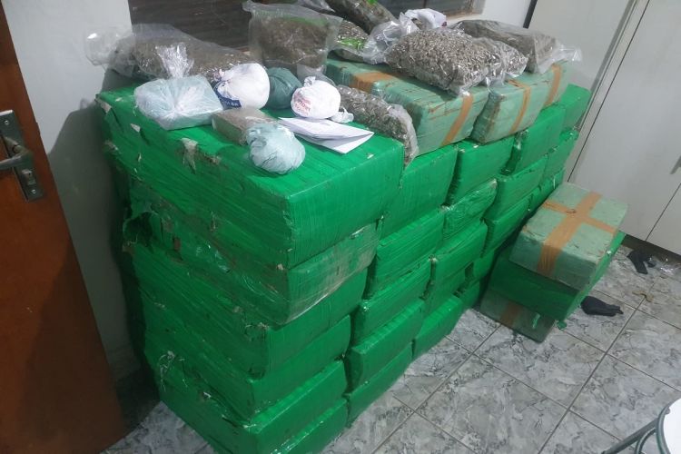 Baep encontra ‘casas bomba’ com 1,5 tonelada de maconha em Salto