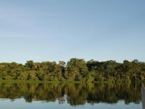 Equador diz que perderá US$ 1,2 bi/ano se suspender extração de petróleo na Amazônia