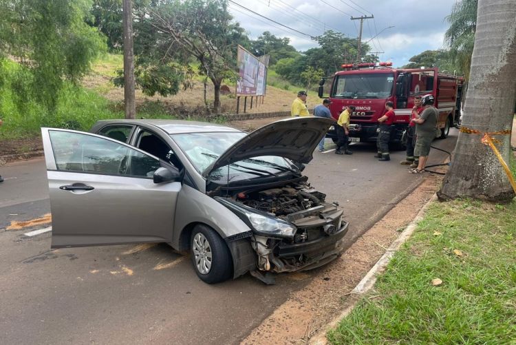 Motorista fica ferida após colidir contra coqueiro