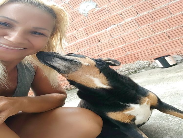 Cachorra morre após se assustar com fogos de artifício