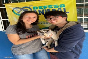 Feira de adoção Pet acontece neste sábado no canil municipal