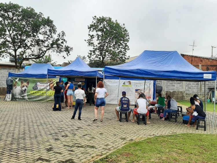 Prefeitura realizou mais de 250 castrações de cães e gatos no último final de semana