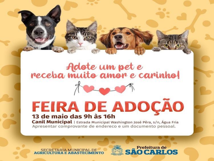 Feira de adoção animal acontece neste sábado no canil municipal