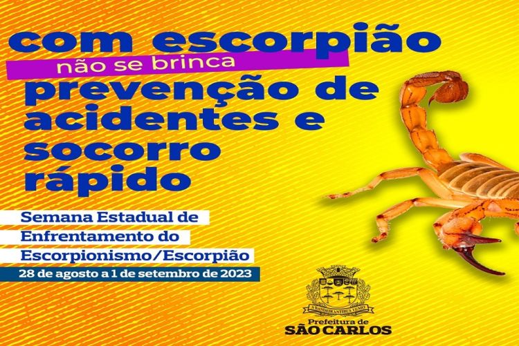 Campanha orienta sobre prevenção e adoção de práticas para evitar envenenamento por picada de escorpiões