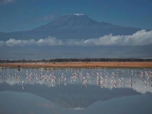 Incêndio florestal volta a ganhar força no Kilimanjaro