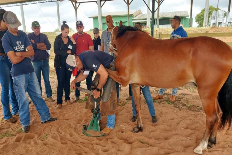 Curso de casqueamento é realizado no centro municipal de atividades equestres