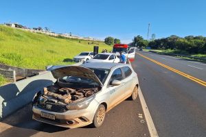 Motorista fica ferida após acidente na SP-318