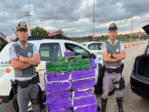 PM Rodoviária prende casal com 273 kg de maconha na Raposo Tavares