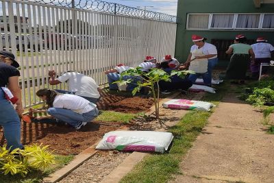 USF Santa Angelina/Arnon de Mello recebe primeira horta medicinal do projeto farmácia viva