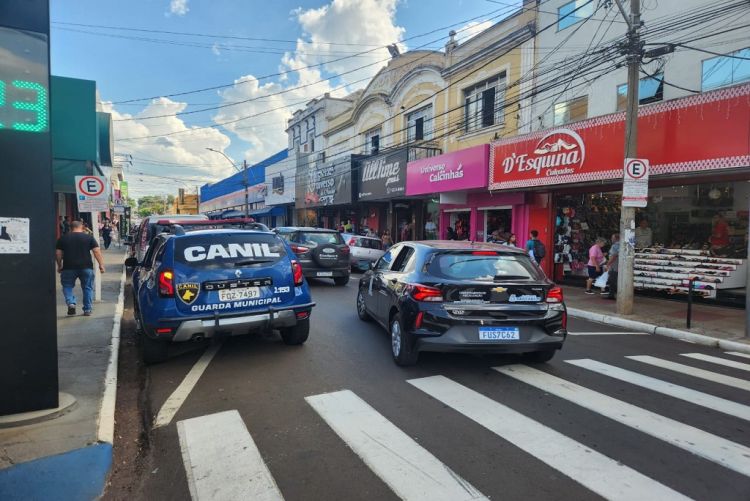 Departamento de Fiscalização e Guarda Municipal apreendem perfumes falsificados