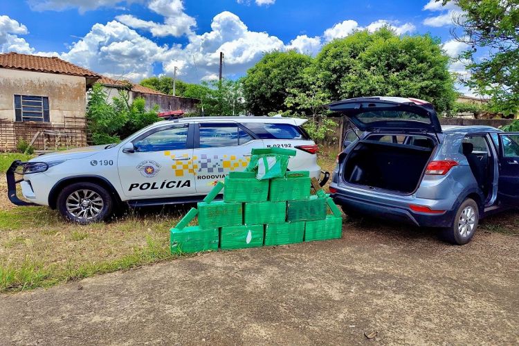 309 tijolos de maconha são apreendidos no interior de São Paulo