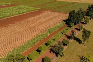 Programa de Residência Agrícola recebe inscrições até 25 de setembro