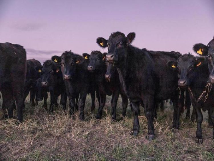 Uruguai aprende sobre perigos do comércio ao negociar com China e enfurecer vizinhos do Mercosul