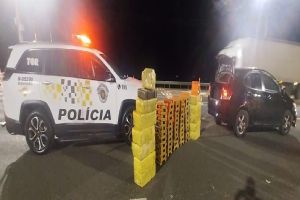 Homem é preso com mais de 300 kg de maconha em praça de pedágio