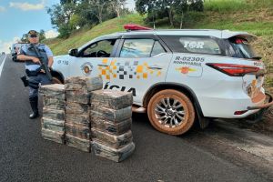 TOR apreende mais de 240 Kg de maconha em Santa Cruz do Rio Pardo