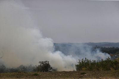 Sobe para 2.300 número de animais da pecuária mortos em incêndios no interior de SP