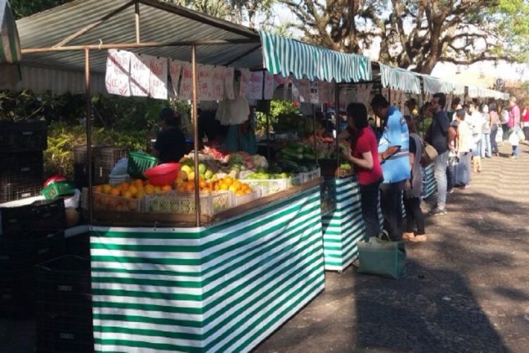 Feiras livres na Praça XV volta somente no dia 09/01