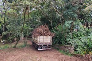 Prefeitura vai investir R$ 27 milhões na limpeza e conservação de praças, parques e jardins públicos