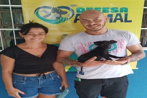 Feira de adoção é finalizada com 19 animais ganhando novos tutores