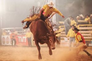 TJ mantém liminar e o Rodeio em São Carlos continua suspenso até decisão final