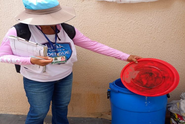 São Carlos registrou 726 casos positivos de dengue em 2023