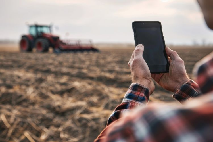 IA avança no agro e ganha cada vez mais espaço no setor