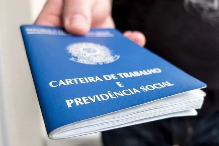 São Carlos teve saldo positivo de 2.893 novos postos de trabalho em 2024