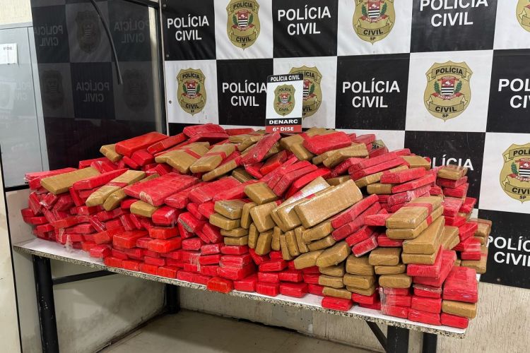 Denarc apreende 500 kg de maconha em carregamento de alho