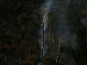 País teve 2,15 milhões de hectares queimados no primeiro semestre