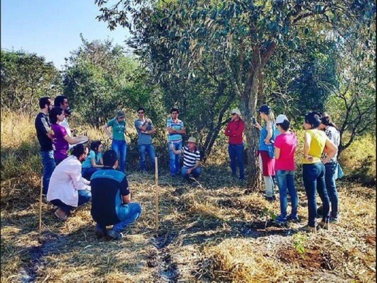 UFSCar capacita profissionais para atuarem na Década das Nações Unidas da Restauração de Ecossistemas