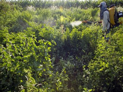 Sem acordo, votação do PL dos Agrotóxicos é adiada para terça-feira