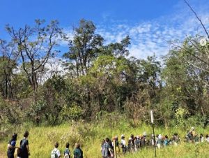 Projeto Trilha da Natureza oferece oficina para crianças e visitas guiadas para todas as idades