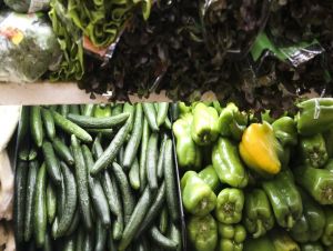 Feira Nacional da Reforma Agrária começa quinta-feira em São Paulo