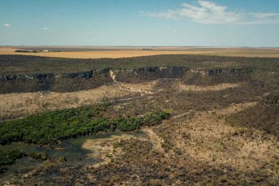 Governo monta força-tarefa para conter desmatamento no Cerrado