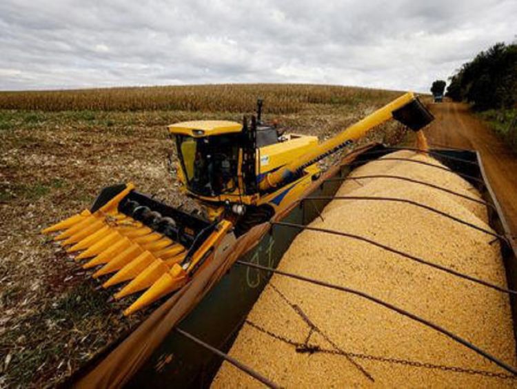 Procura por seguro rural no Brasil triplica em 5 anos, diz CNseg